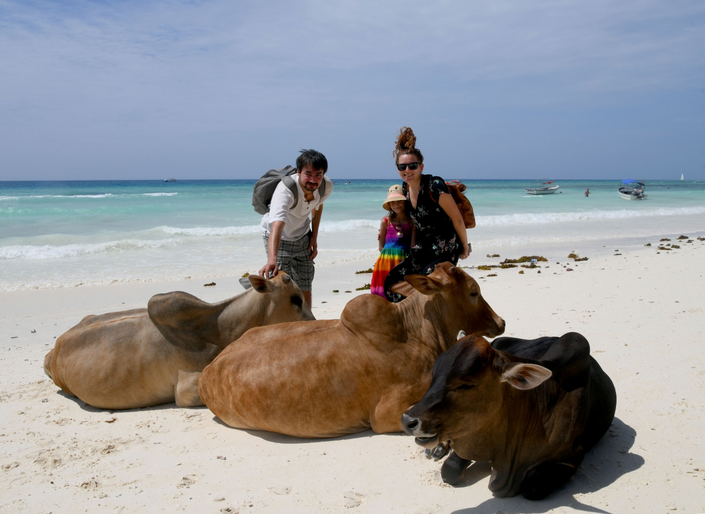 S djecom u Afriku, Zanzibar