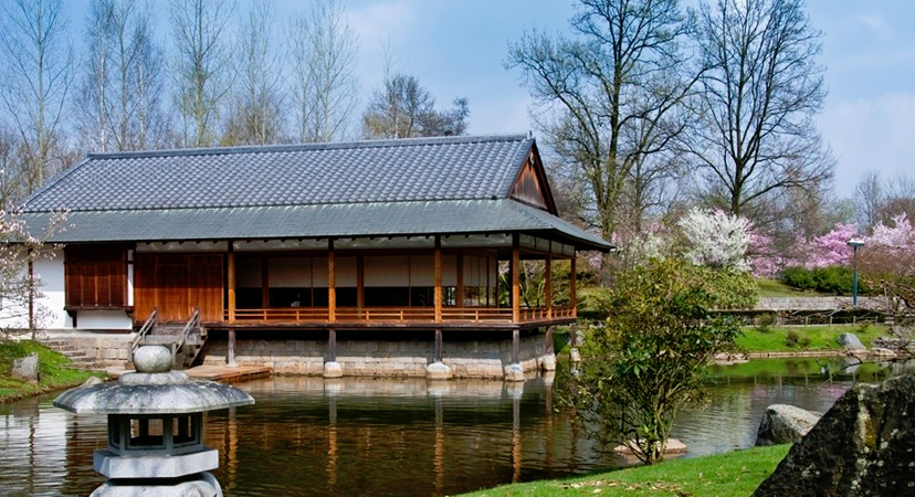 9 najboljih mjesta u Europi za vidjeti ružičasta drveća, Hasselt, Belgija