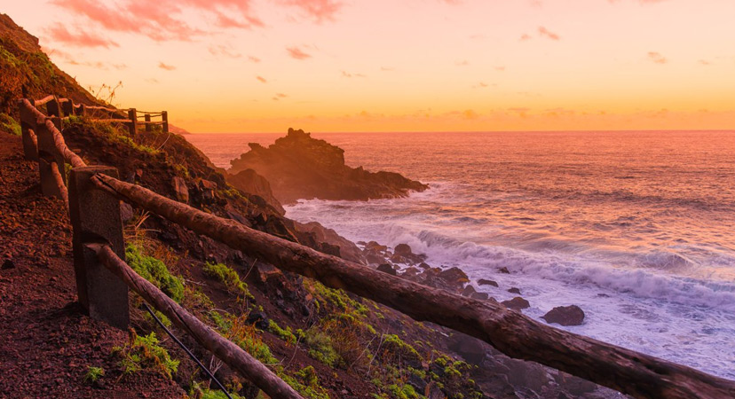 Kanari, La Palma