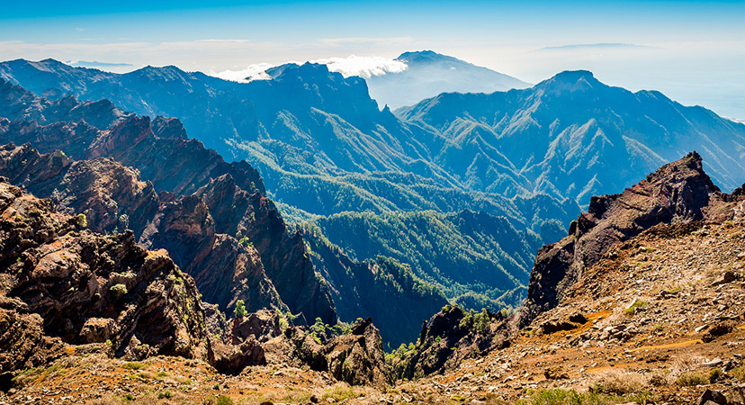 Kanari, La Palma