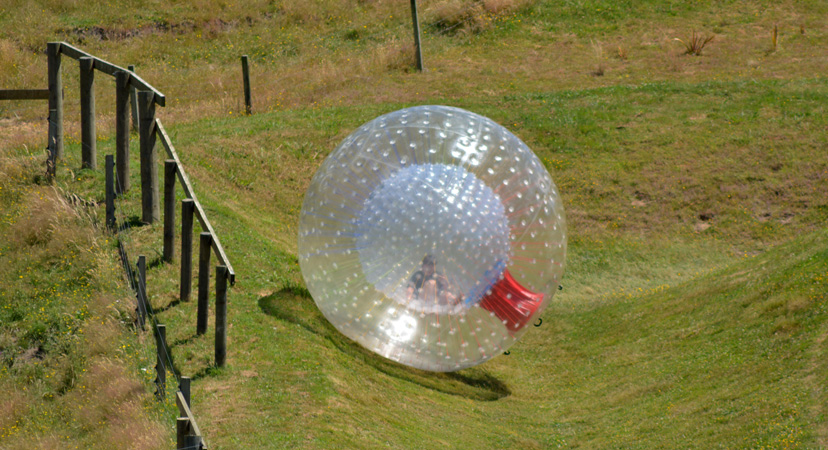 Novi Zeland, zorbing