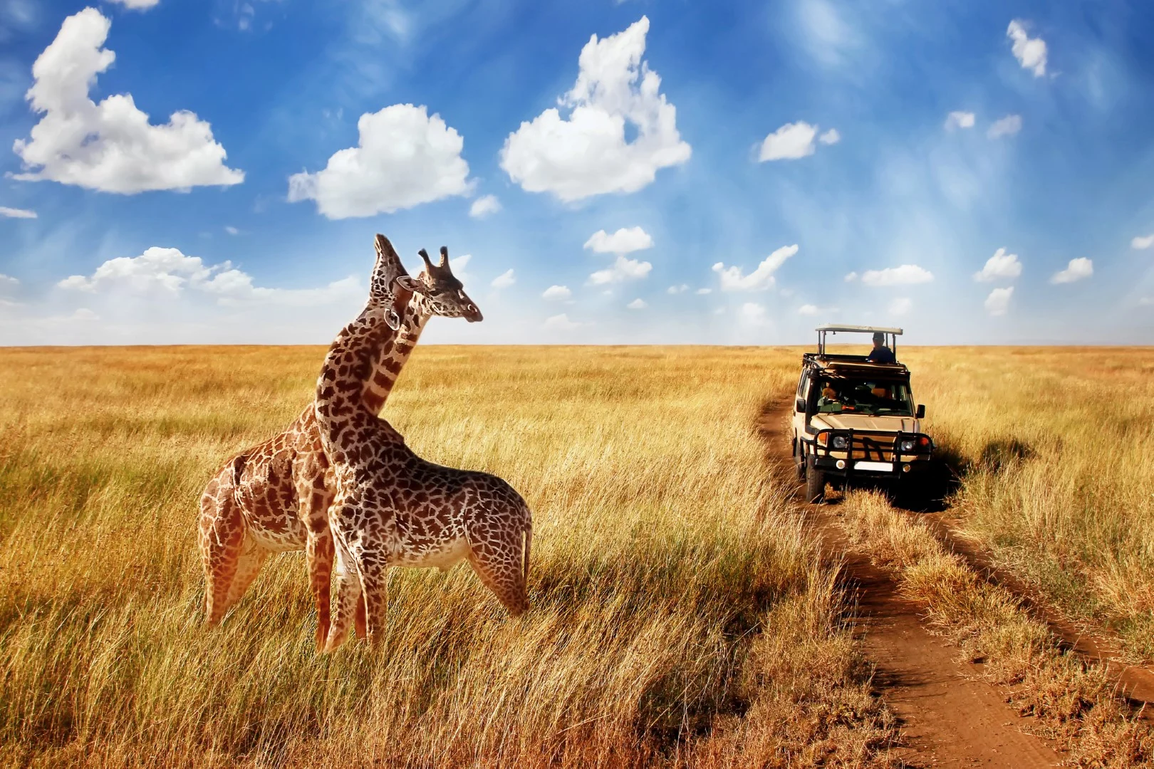 Safari i Afrika: 6 najboljih safarija u Africi Nomago Travel Nomago