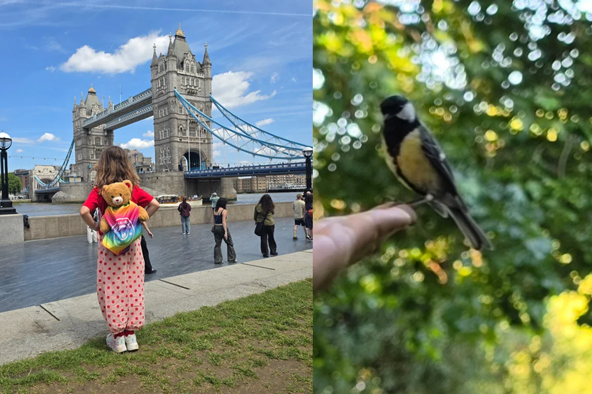 london za djecu, putovanje