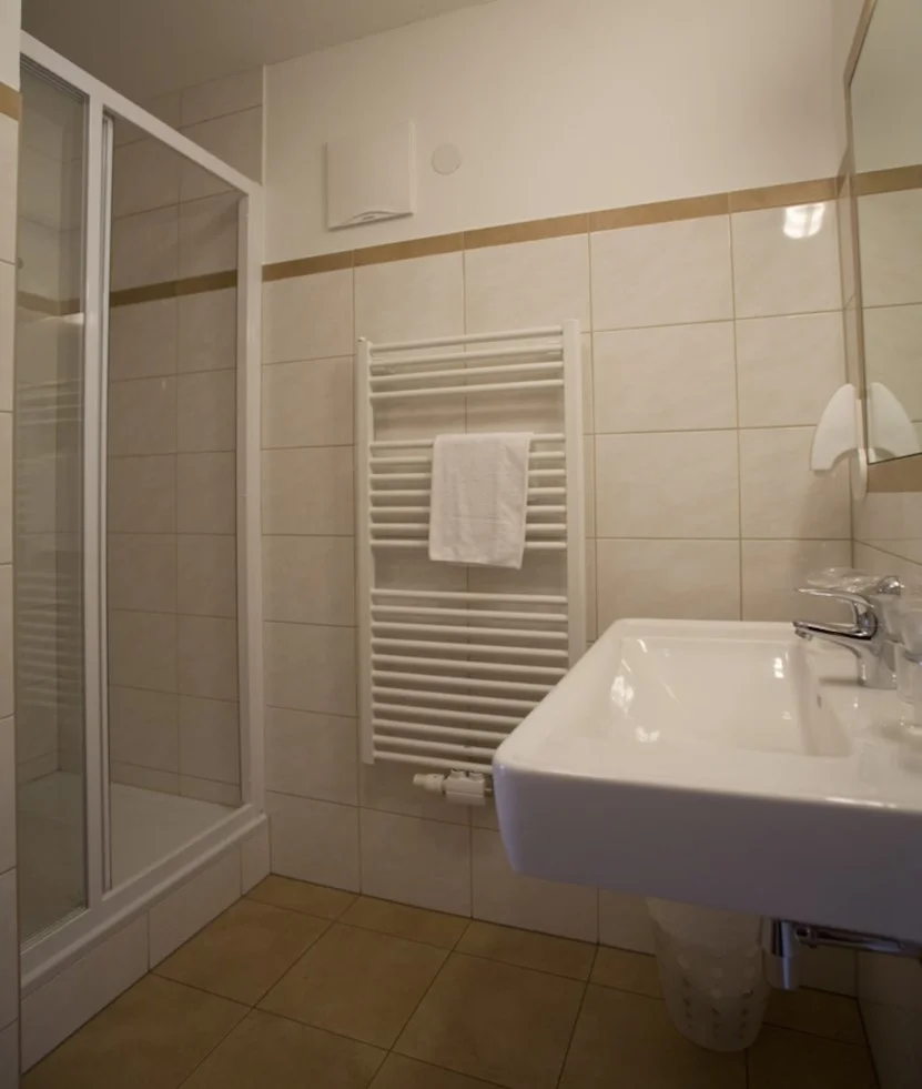 hotel-hohe-tauren-matrei-dvokrevetna-soba-kupaonica.webp